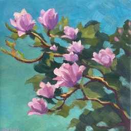 20 20 Magnolia blooms 2