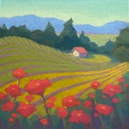 Poppies at the Vineyard